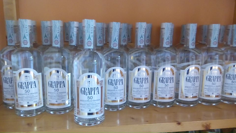 Ghelfi 50
